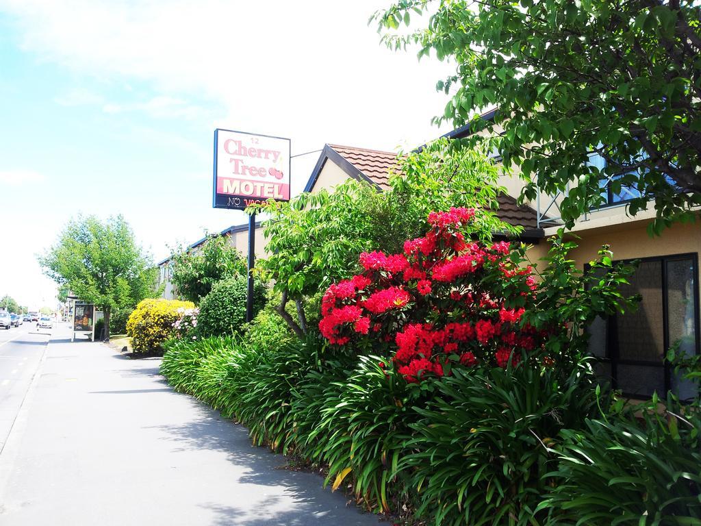 Cherry Tree Lodge Motel Christchurch Kültér fotó