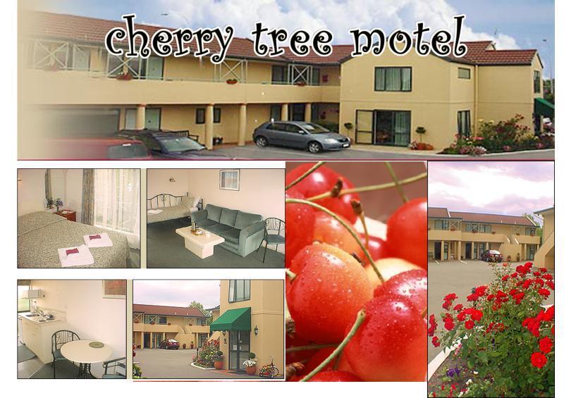 Cherry Tree Lodge Motel Christchurch Kültér fotó